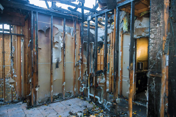 Professional Soot Cleanup technician working in Albany, KY
